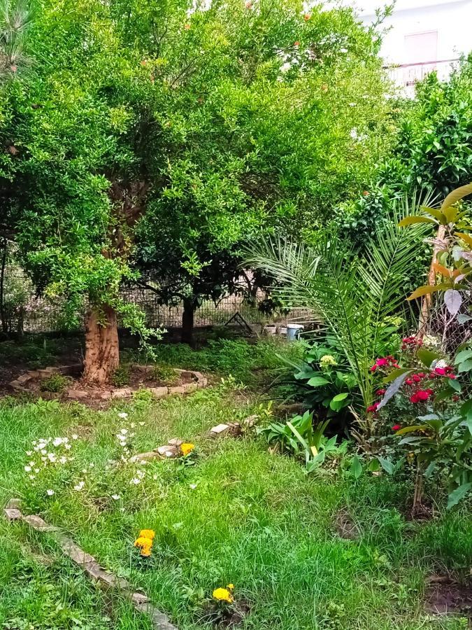 شقة La Nonna بريفيزا المظهر الخارجي الصورة